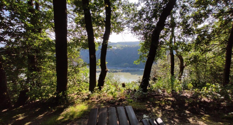 Aussichtspunkt "Galgenhöhe" mit Picknickbank | © TI Hunsrück-Mittelrhein