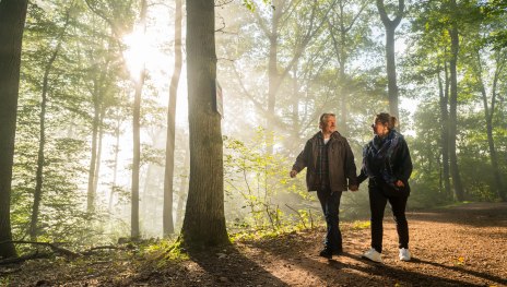 Wanderer im Wald | © Dominik Ketz