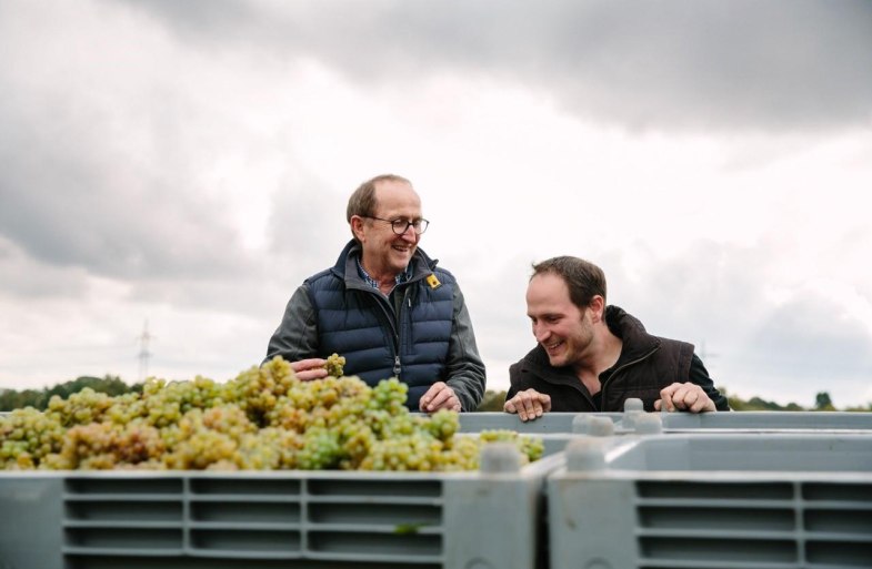 Weinlese Jakob Jung | &copy; Weingut Jakob Jung