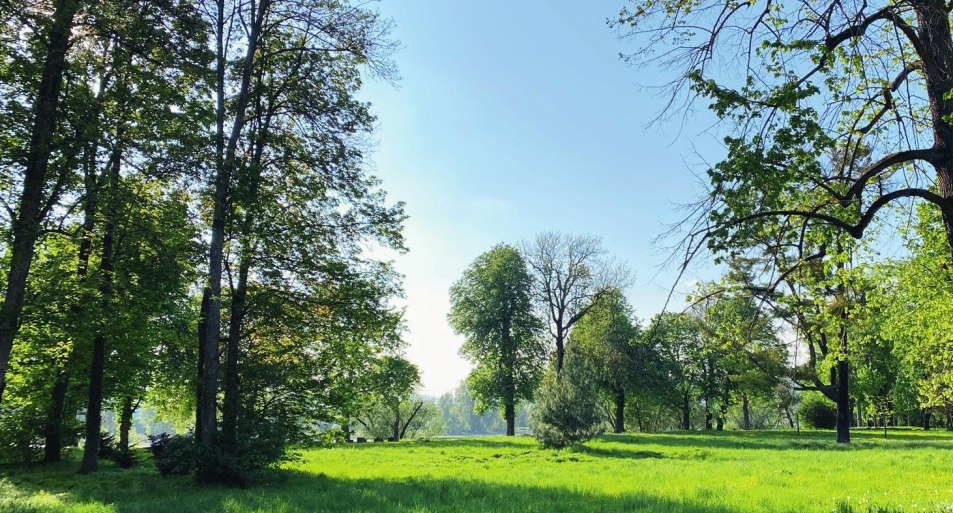 Schlosspark 02 | &copy; Nadine Sch&ouml;neberg
