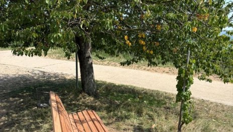 Bank im Drachenstein | © Maren Gutberlet Bank im Drachenstein | © Maren Gutberlet