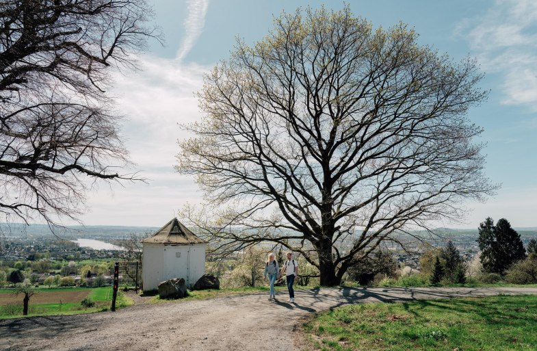 Lindenbäumchen Feldkirchen | © Zimpfer_Photography Lindenbäumchen Feldkirchen | © Zimpfer_Photography