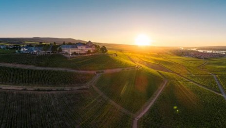 Gast in der Heimat Gast in der Heimat