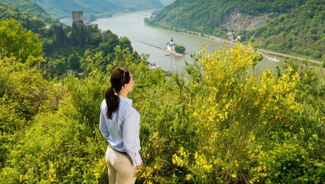 Natur und Kultur erleben im Mittelrheintal | &copy; Rheinland-Pfalz Tourismus GmbH | Dominik Ketz