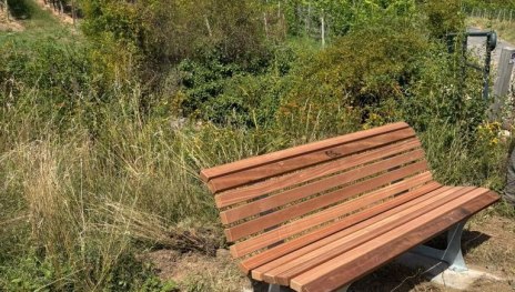 Bank im R&uuml;desheimer Bischofsberg | &copy; Maren Gutberlet