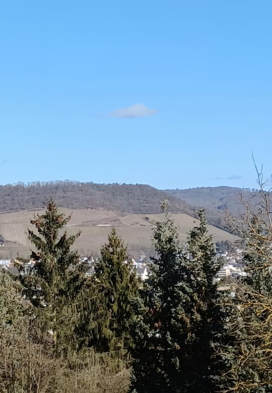 Aussicht ins Rheintal | © Cornelia Kupfer