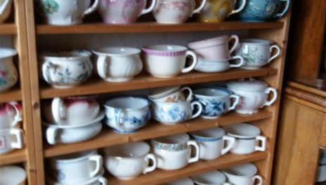 &copy; Brigitte Breuer