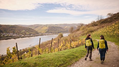 © Marco Rothbrust, Mittelrhein © Marco Rothbrust, Mittelrhein