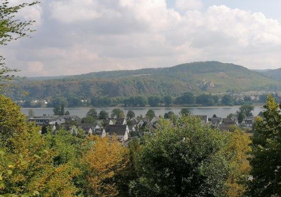 Aussicht vom Märchenwald | © Tourist-Information Bad Breisig Aussicht vom Märchenwald | © Tourist-Information Bad Breisig