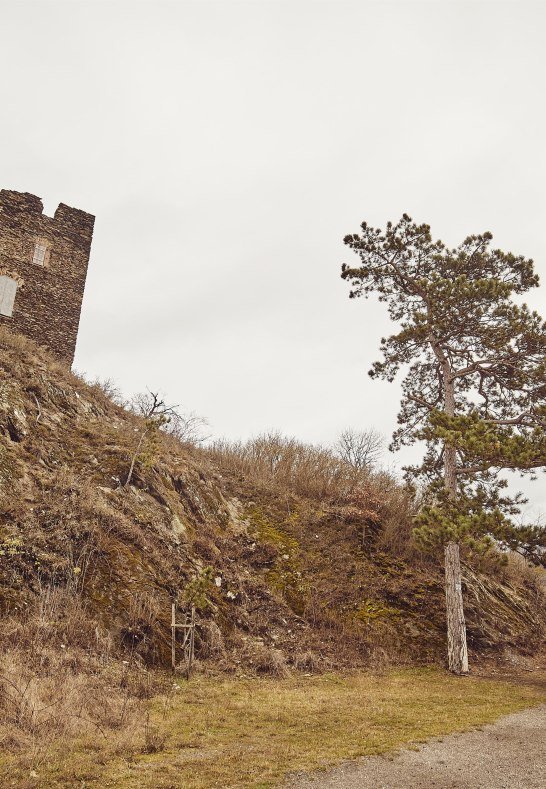 Wanderer an der Ruine Nollig | © Marco Rothbrust Wanderer an der Ruine Nollig | © Marco Rothbrust