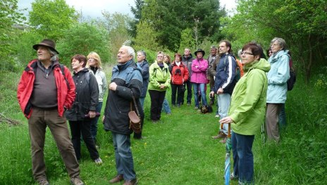 Vogelstimmenwanderung | &copy; Werner Sopp