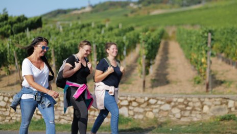 &copy; DeinWein, R&uuml;desheim Tourist AG