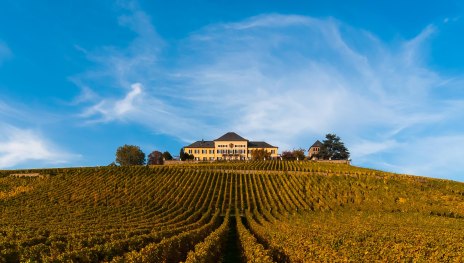 Schloss Johannisberg | © Schloss Johannisberg Schloss Johannisberg | © Schloss Johannisberg