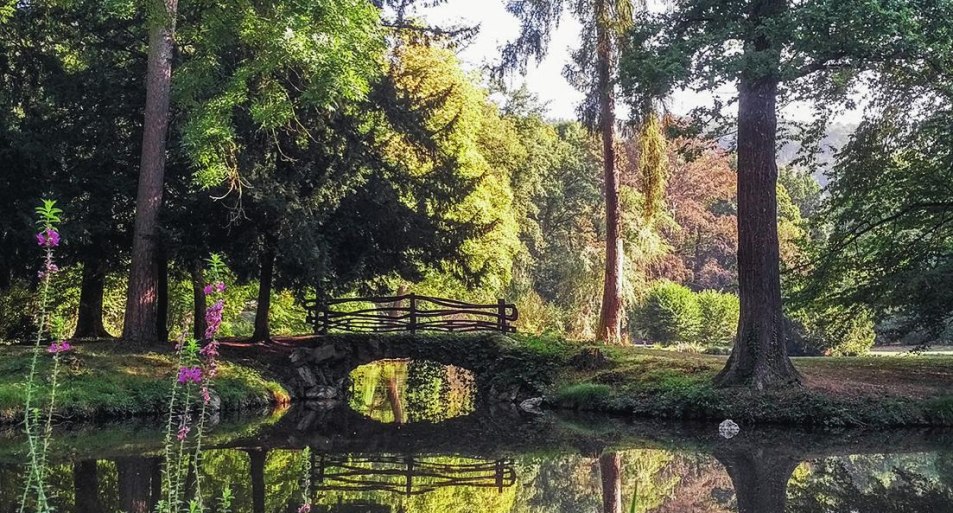 Schlosspark 02 | &copy; F&uuml;rstlich Sayn-Wittgenstein'sche Verwaltung