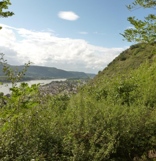 Leutesdorf | &copy; Presseb&uuml;ro Stadt Neuwied