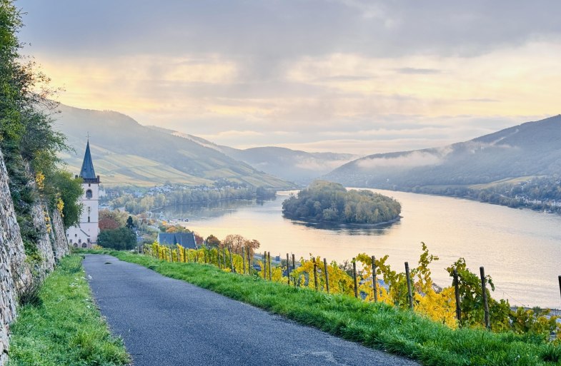 Lorcher Weinberge im November | © Hotel im Schulhaus Lorcher Weinberge im November | © Hotel im Schulhaus