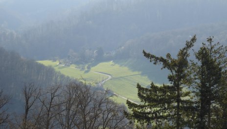 Blick vom Balkon in den grünen Heilwald | © Schröter-Bukvic Blick vom Balkon in den grünen Heilwald | © Schröter-Bukvic