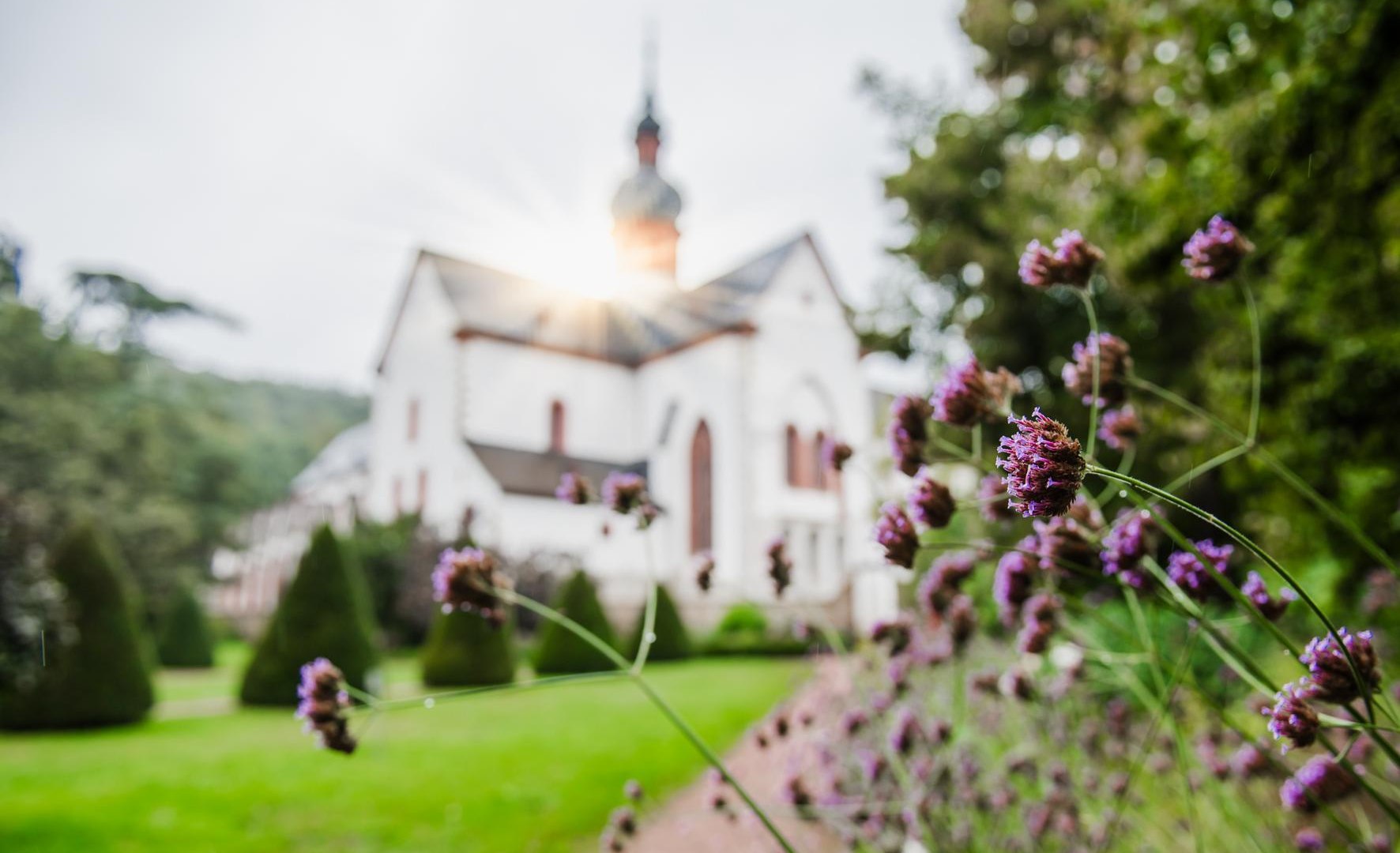 mbe_2549 | &copy; Stiftung Kloster Eberbach