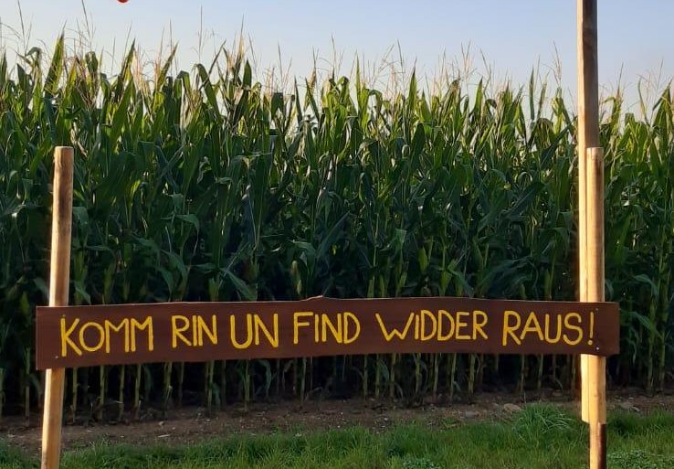 Maislabyrinth 1 | &copy; Mareike Heckel