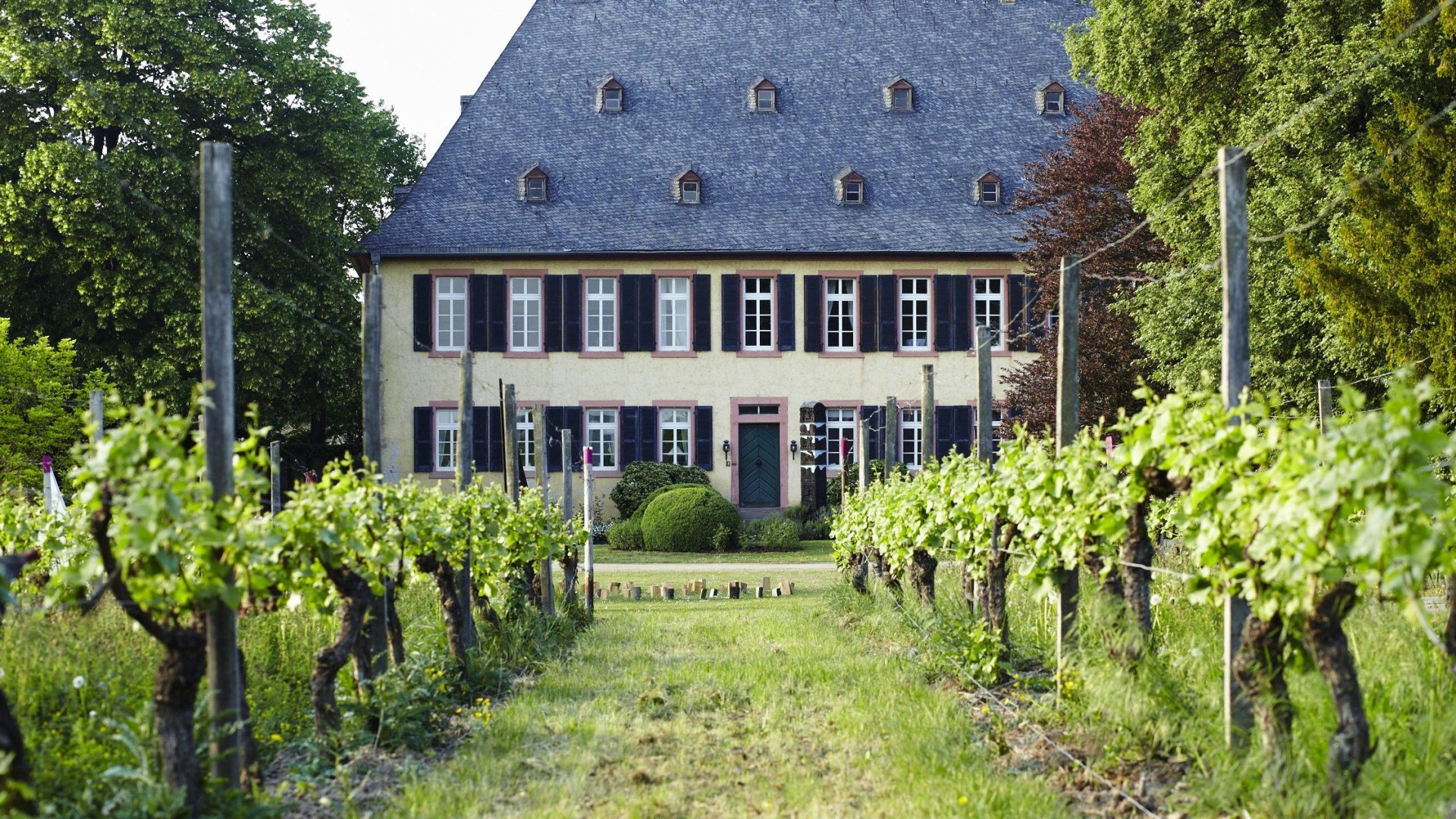 Weingut Baron Knyphausen | © Weingut Baron Knyphausen Weingut Baron Knyphausen | © Weingut Baron Knyphausen