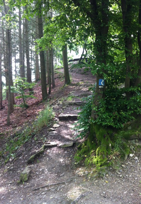 IMG_4131 | © Eigentum