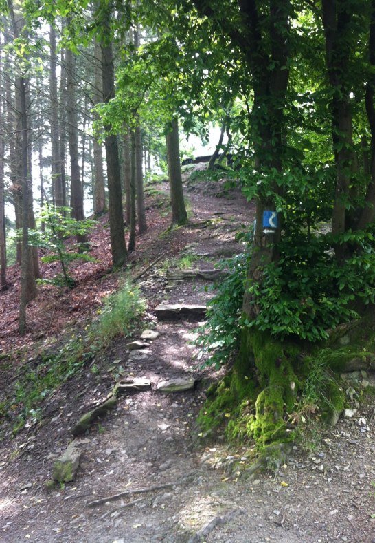 IMG_4131 | © Eigentum