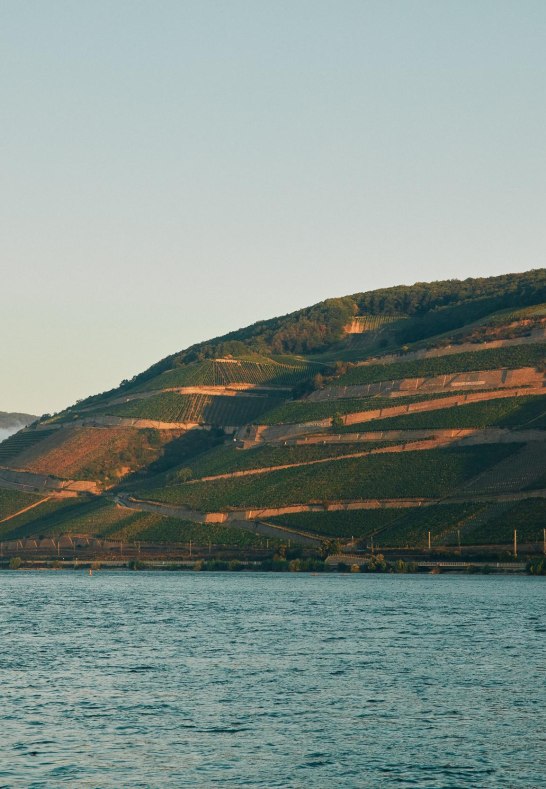 BERG SCHLOSSBERG R&uuml;desheim