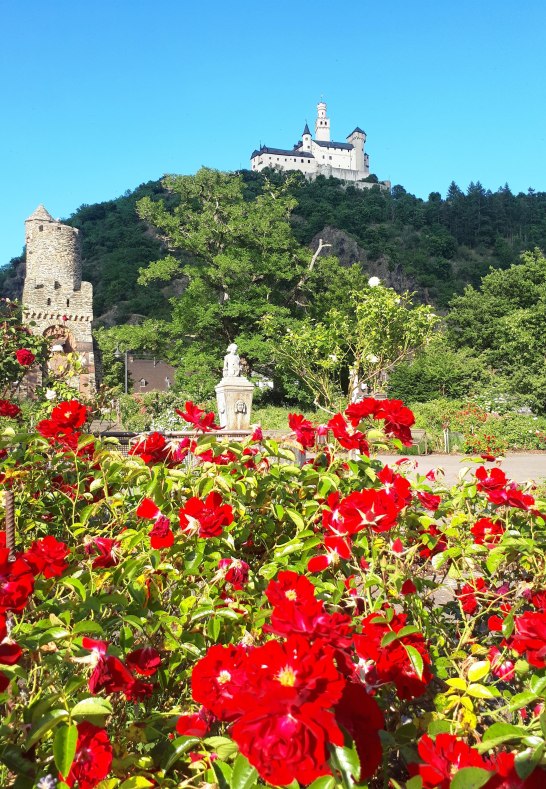 Sommer | © Katharina Schattner/Romantischer Rhein Tourismus GmbH Sommer | © Katharina Schattner/Romantischer Rhein Tourismus GmbH