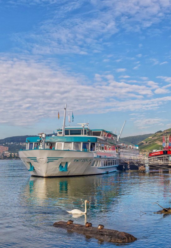 Hafenpark R&uuml;d 2 | &copy; Rheingau- Taunus Kultur und Tourismus GmbH