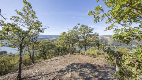 Rhein Wisper Gl&uuml;ck | &copy; M. Igel