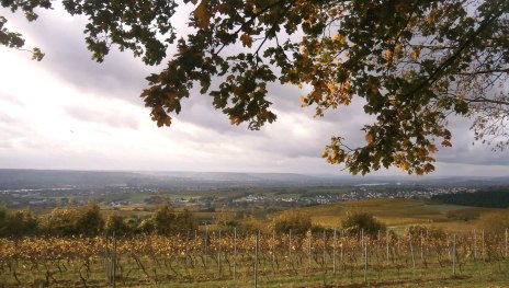 © Joachim Fox, Bauamt Stadt Eltville © Joachim Fox, Bauamt Stadt Eltville