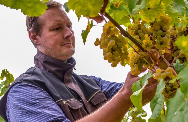 Weingut Kurt Bug | &copy; Yvonne Bug